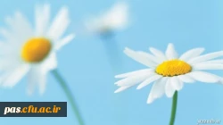 باشگاه دانشجومعلمان پژوهشگر دانشگاه فرهنگیان