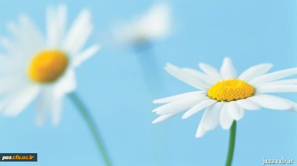 باشگاه دانشجومعلمان پژوهشگر دانشگاه فرهنگیان