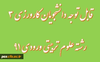فرم کارورزی 3- علوم تربیتی 91