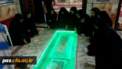 غبارروبی امامزاده یحیی علیه السلام