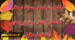 تا ساحل آرامش