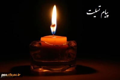 پیام تسلیت

استاد ارجمند جناب آقای مهنا