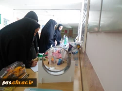 نمایشگاه دست سازه ها