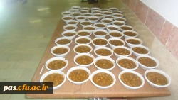 مراسم دهه اول