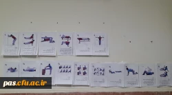 کانون سلامت