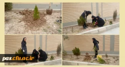 روز درختکاری