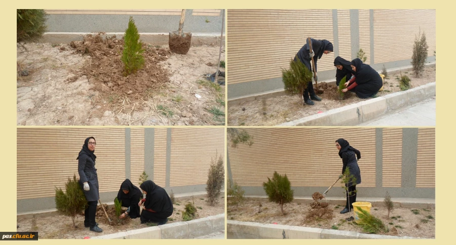 روز درختکاری