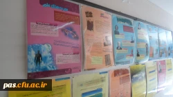 نمایشگاه عکس و پوستر حجاب و عفاف