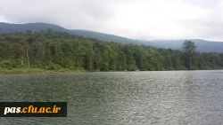 اردوی الندان