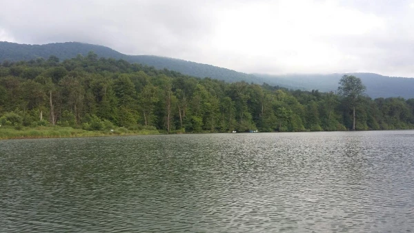 اردوی الندان